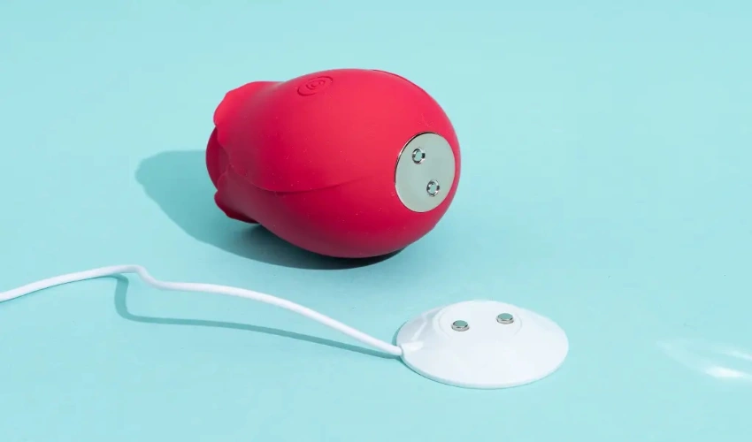 Rose Toy Features That Stand Out rose toy